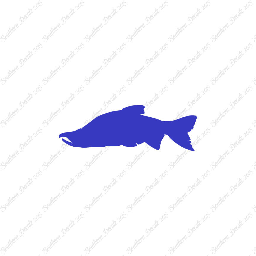 Salmon Sockeye Fish