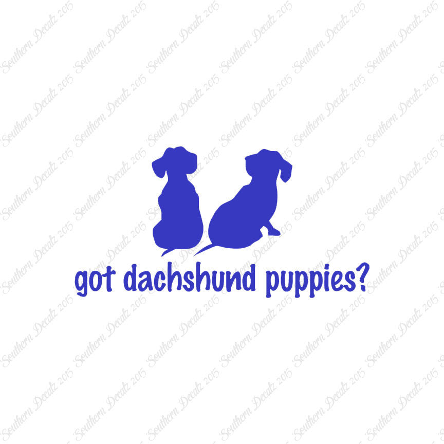Got Dachshund Puppies ? Dog Breed