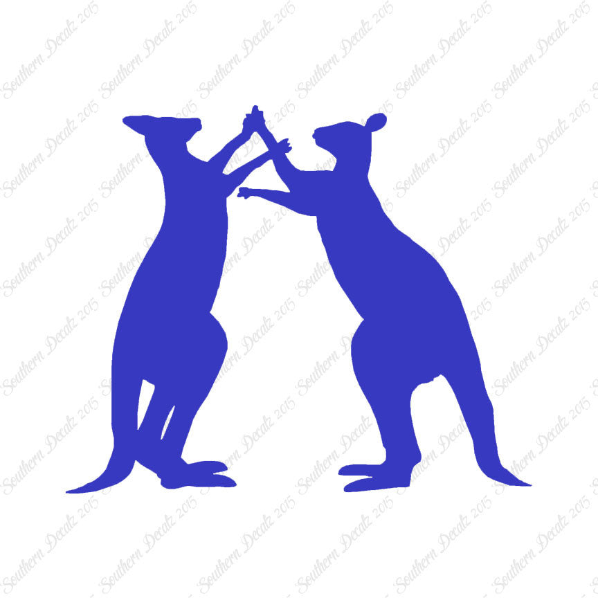 Kangaroo Fighting