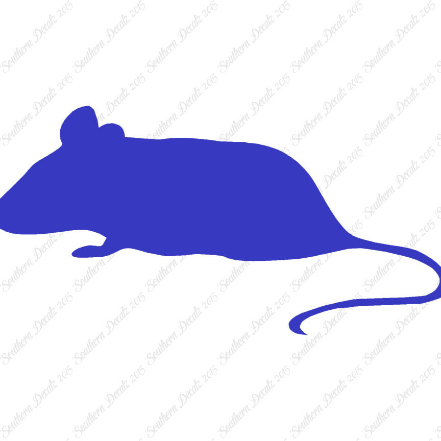 Mouse Rat Vermin