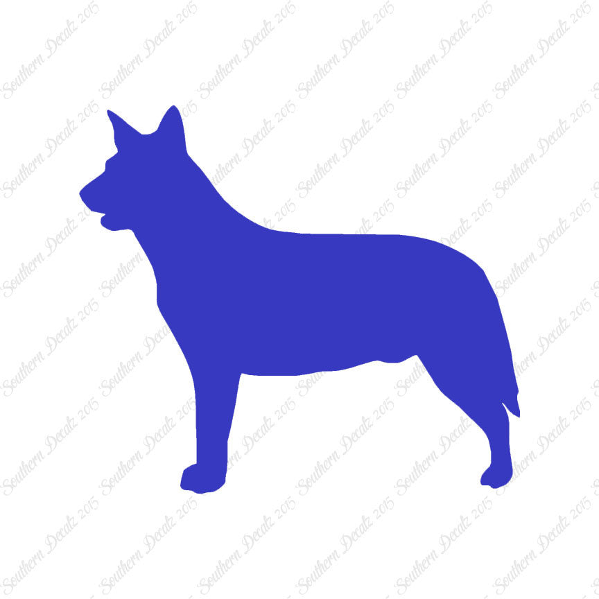 Australian Cattledog Dog Breed