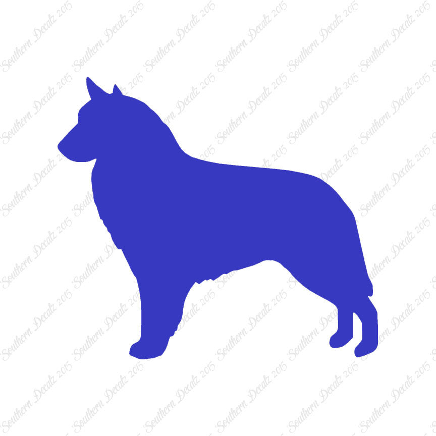 Belgian Sheepdog