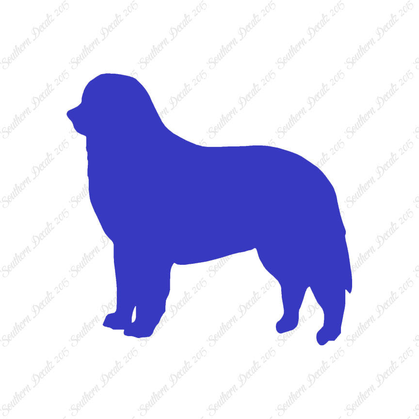 Bernese Mountain Dog Breed