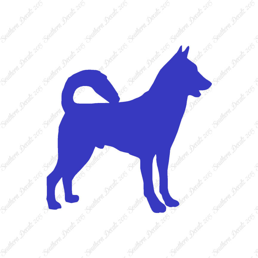 Canaan Dog Breed