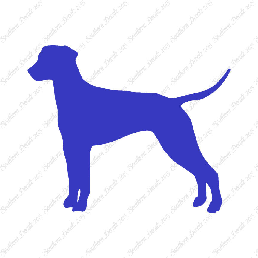 Dalmatian Dog Breed