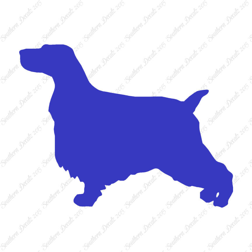 English Cocker Spaniel Dog Breed