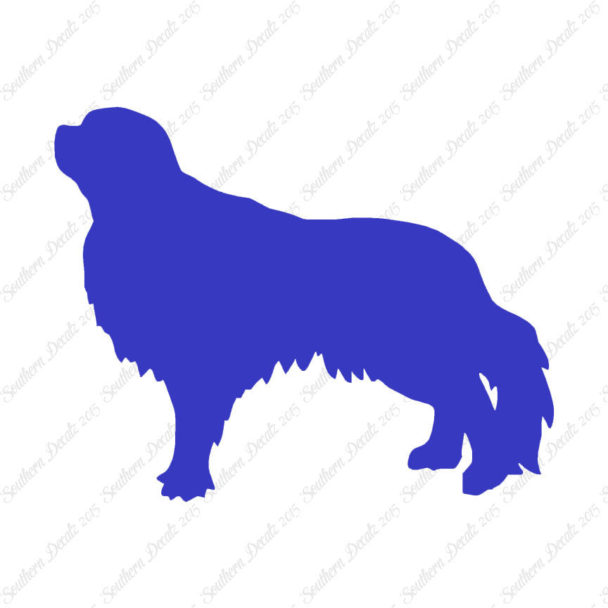 English Toy Spaniel Dog Breed