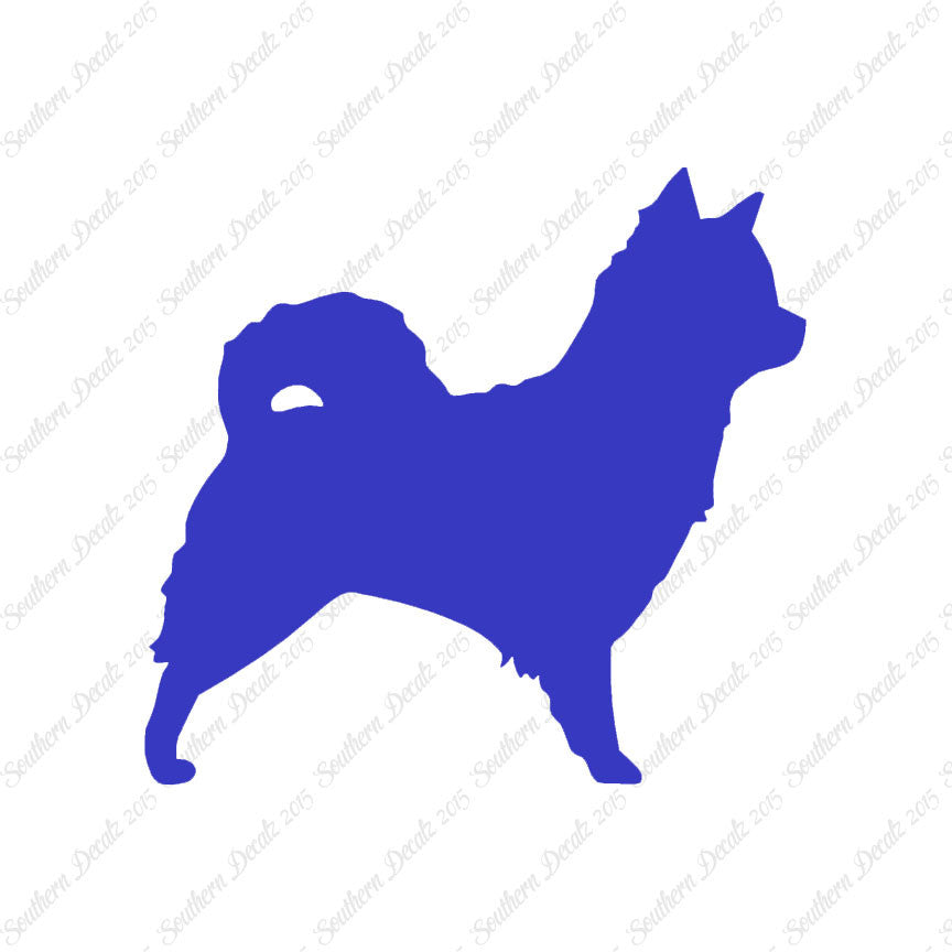 Long Haired Chihuahua Dog Breed