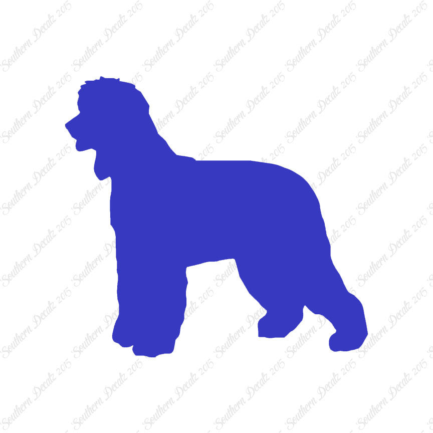 Irish Water Spaniel Dog Breed