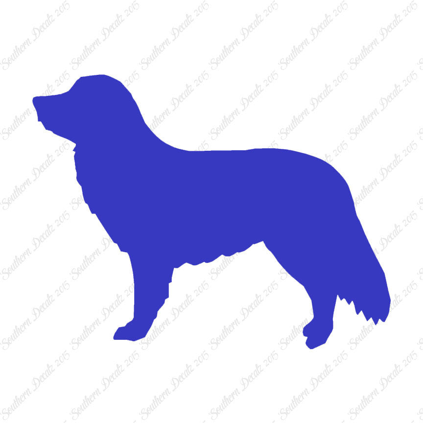 Duck Tolling Retriever Dog Breed