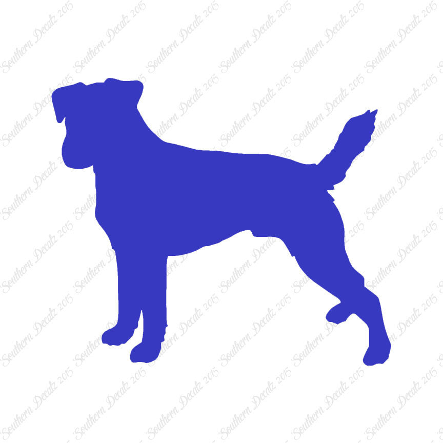 Jack Russell Terrier Parson