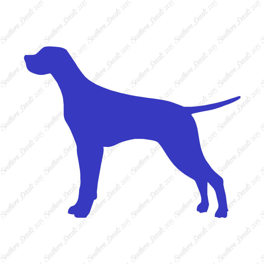 Pointer Dog Breed