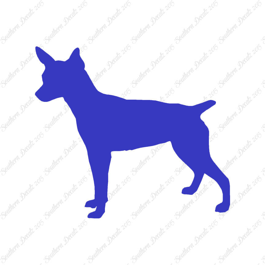Rat Terrier Dog Breed
