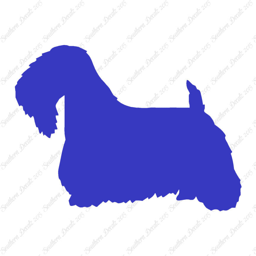 Sealyham Terrier Dog Breed