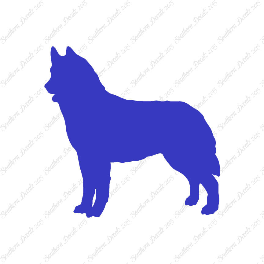 Siberian Husky Dog Breed