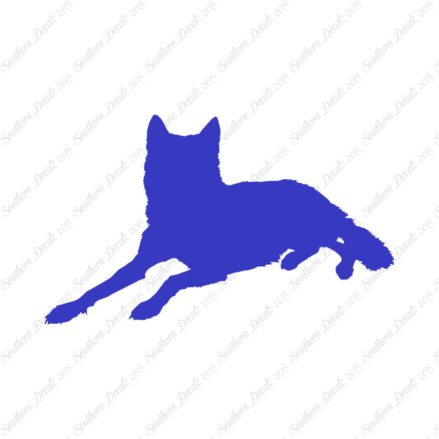 Coyote Wolf Wild Dog