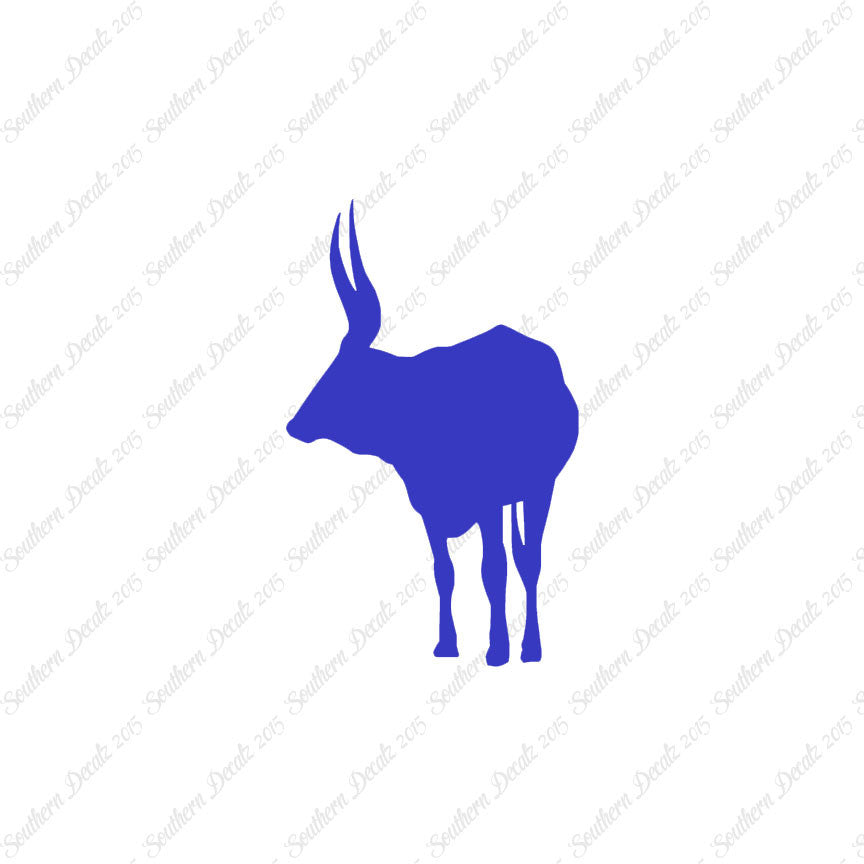 Long Horn Bull Cattle