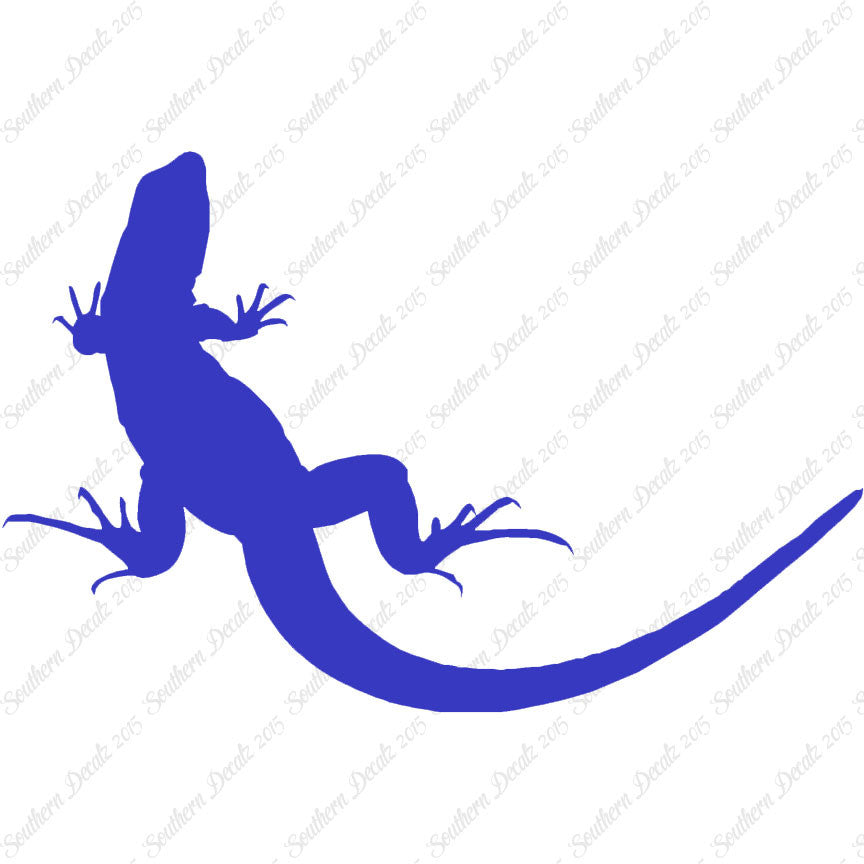 Garden Lizard Gecko Anole