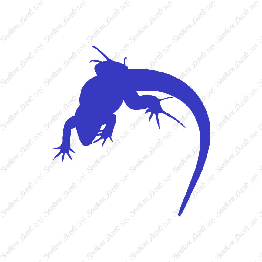Lizard Anole Gecko