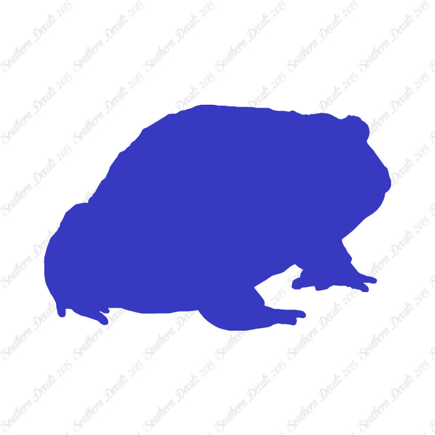 Bullfrog Toad