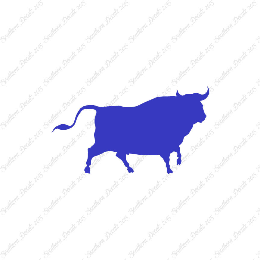 Bull Angus Cow