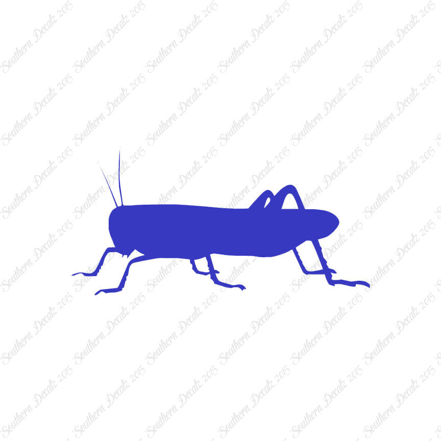Grasshopper Cricket Insect