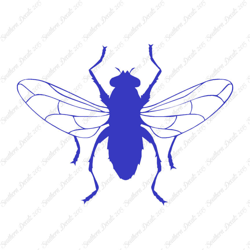 Gnat Fly Insect