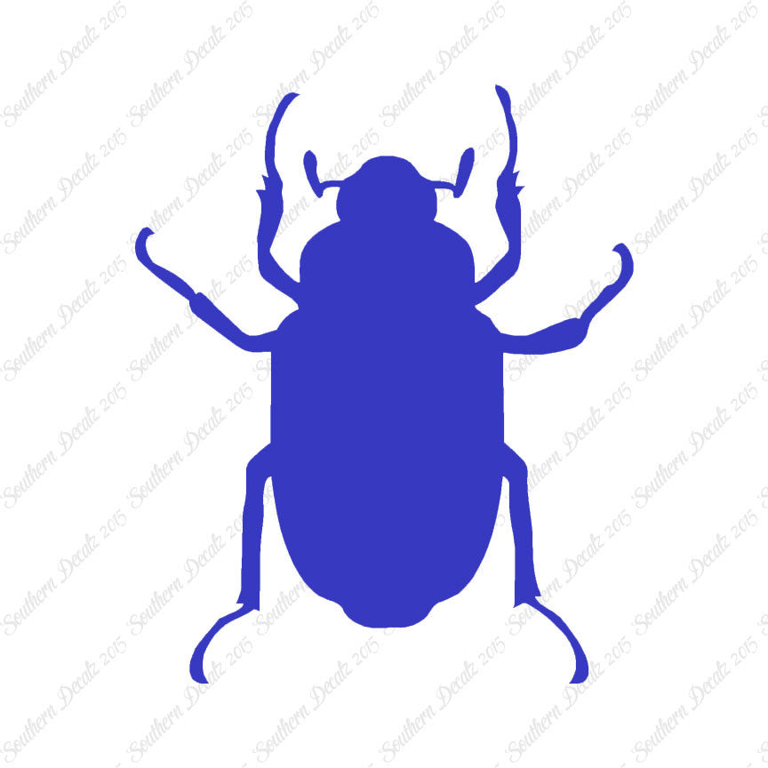 Water Beetle Junebug Insect