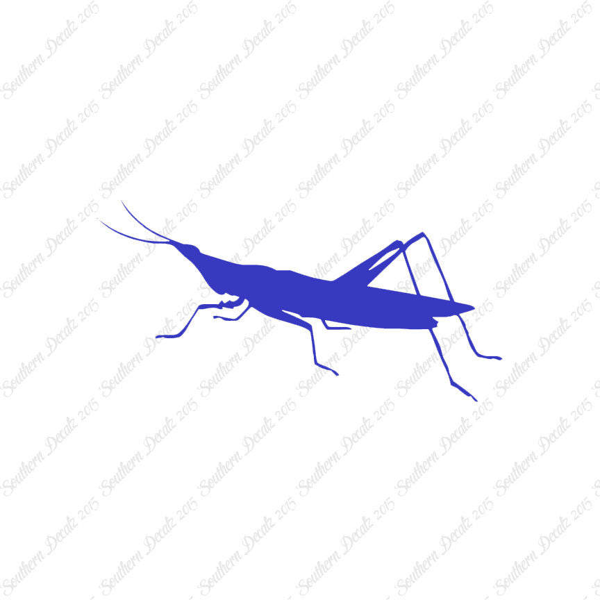 Grasshopper Insect