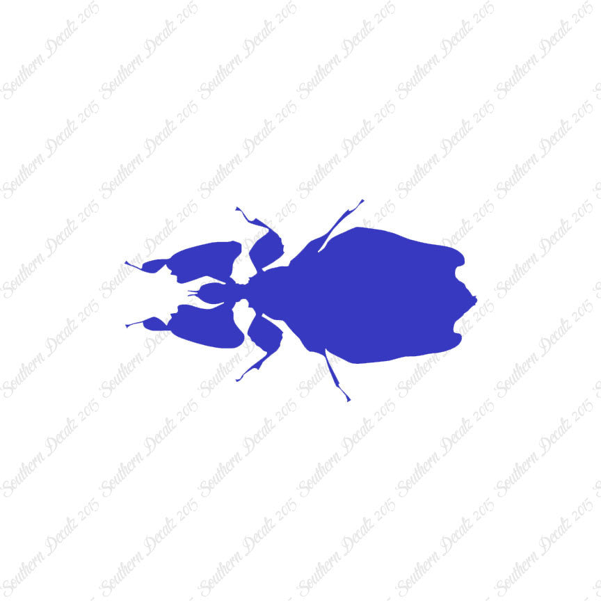 Dung Beetle Insect