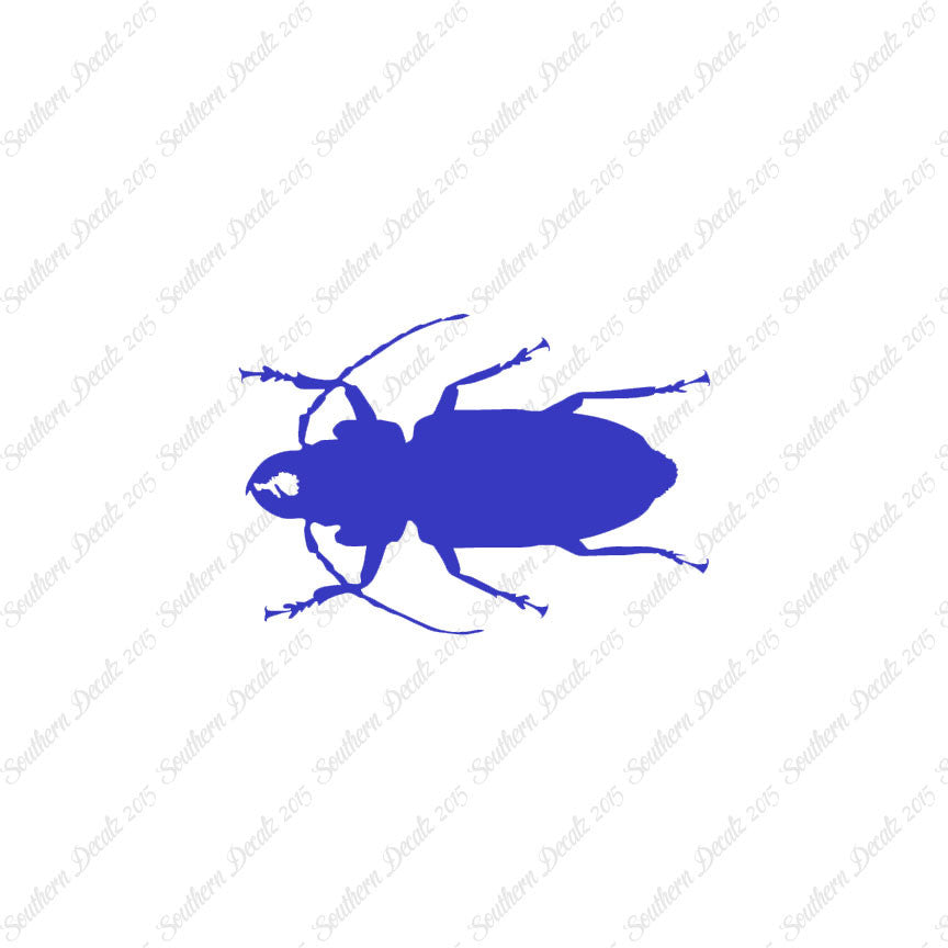 Soldier Borer Beetle