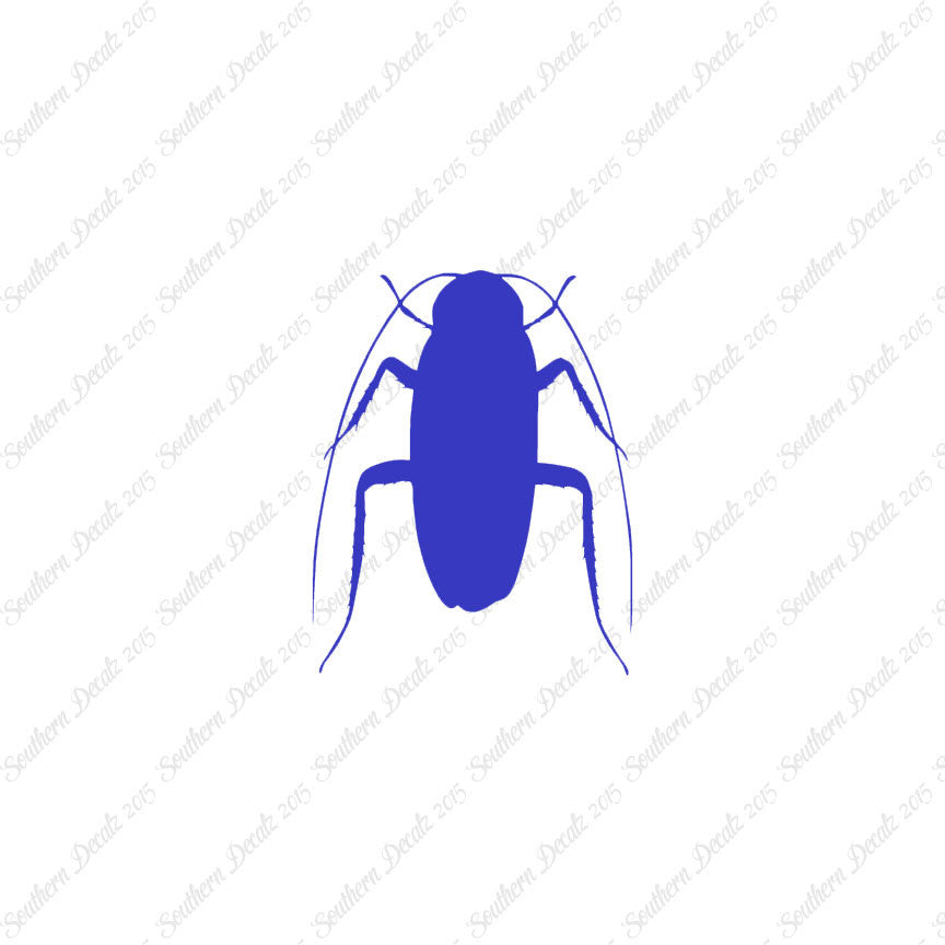 Water Beetle Cockroach