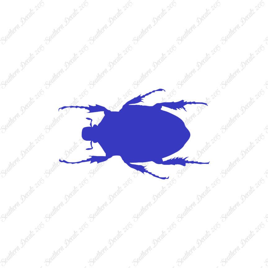 Black House Beetle