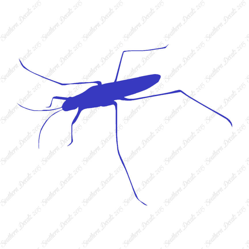 Water Skimmer Insect Bug