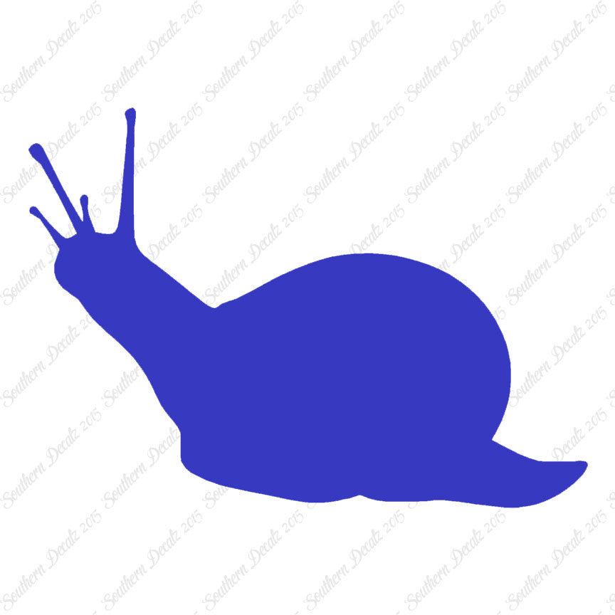 Slug Snail Insect Bug