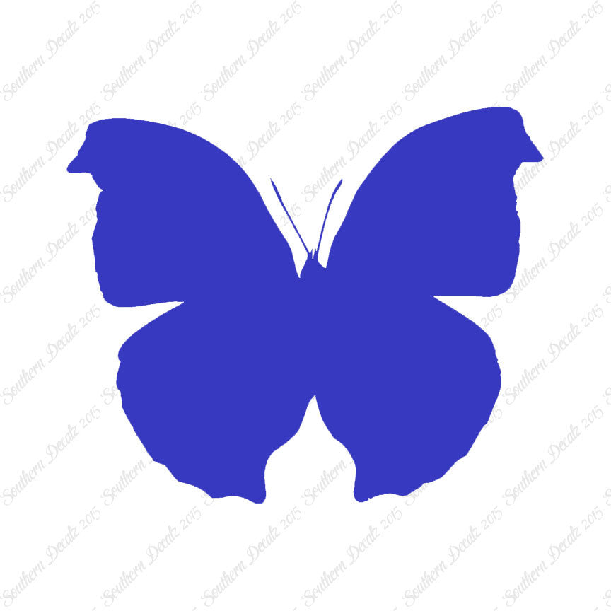 Moth Butterfly Insect Bug