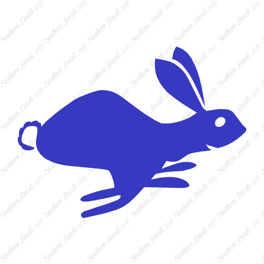 Bunny Rabbit