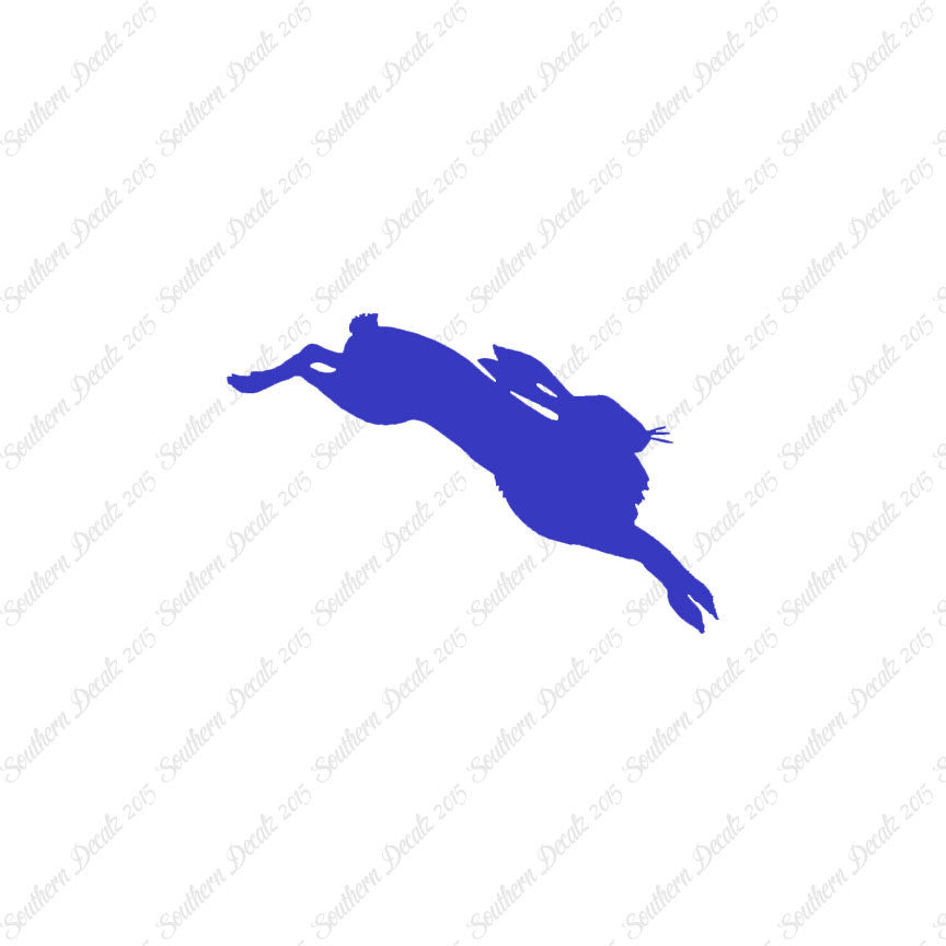 Jackrabbit Rabbit Bunny