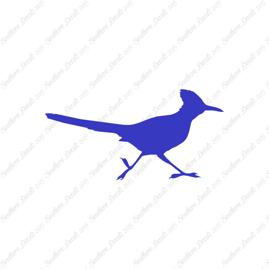 Roadrunner Bird