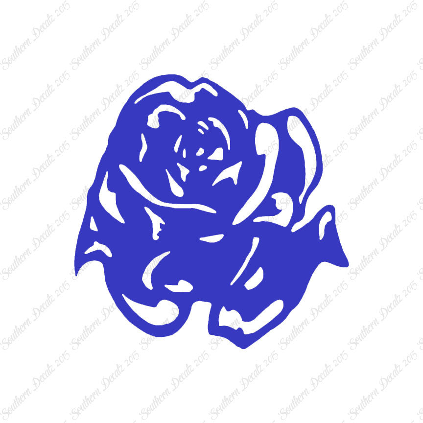 Carnation Rose Flower