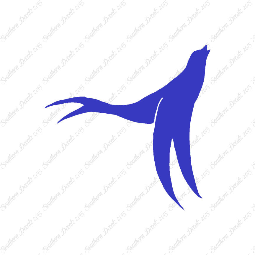 Seal Sea Lion