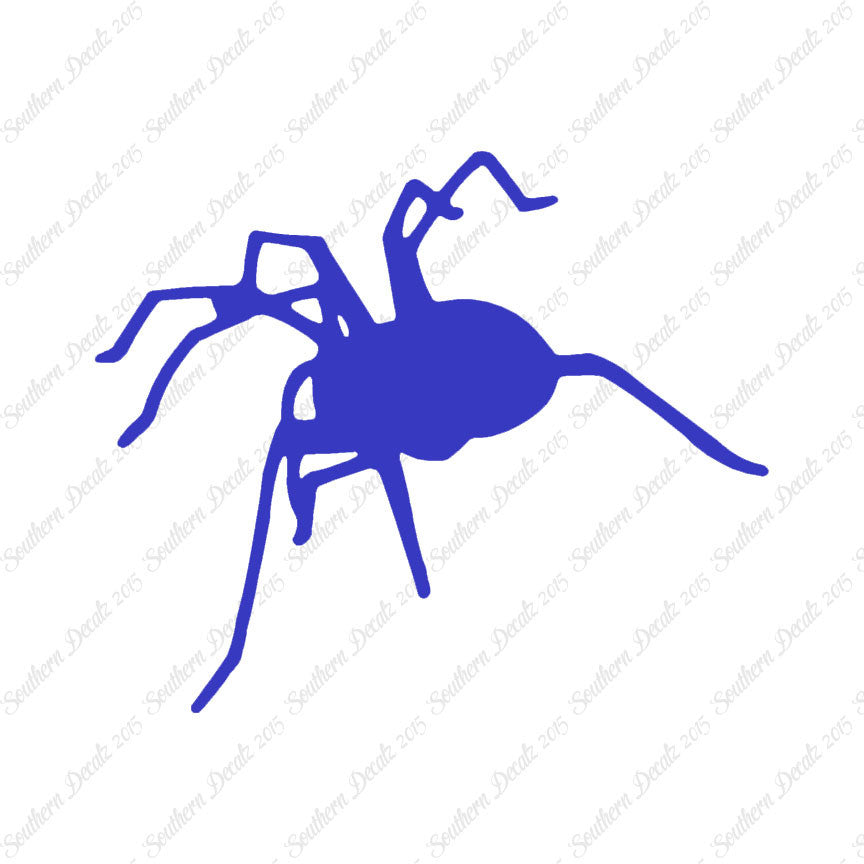 Spider Tarantula