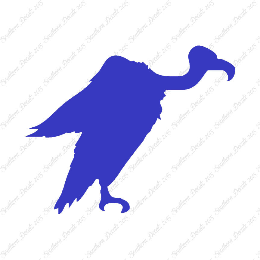 Vulture Condor Bird