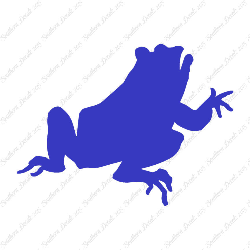 Frog Bullfrog Toad