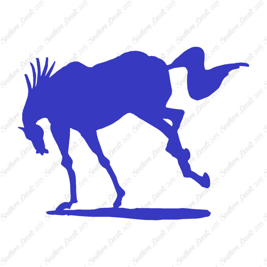 Rearing Horse Stallion