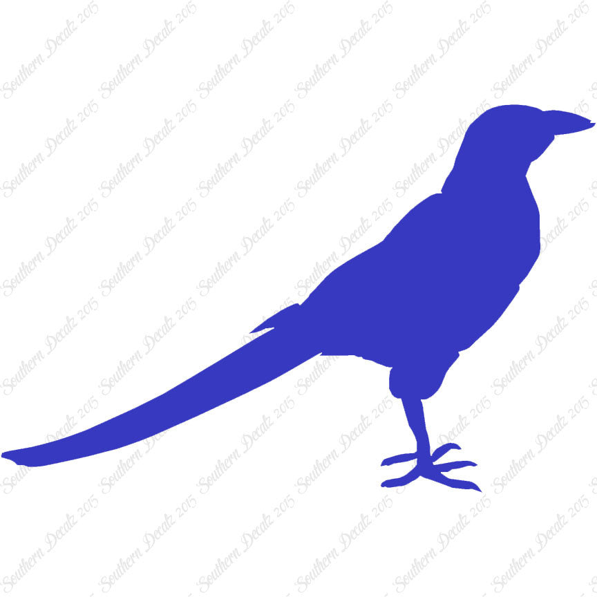 Magpie Crow
