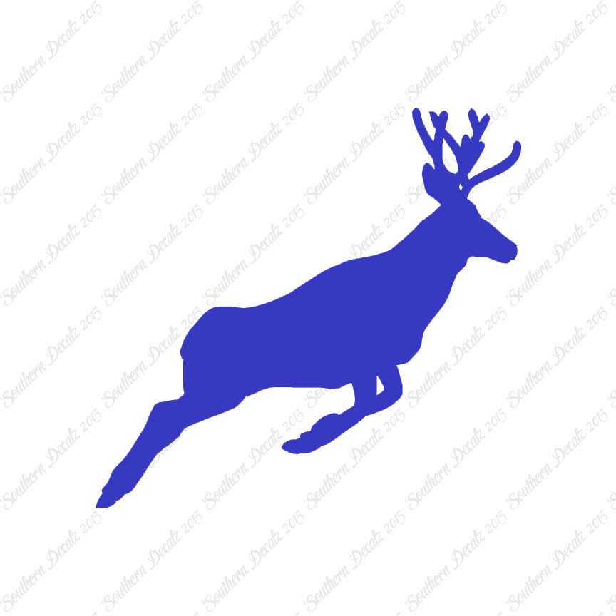 Mule Deer Buck Doe