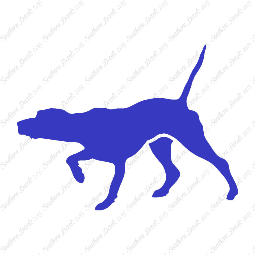 Pointer Dog