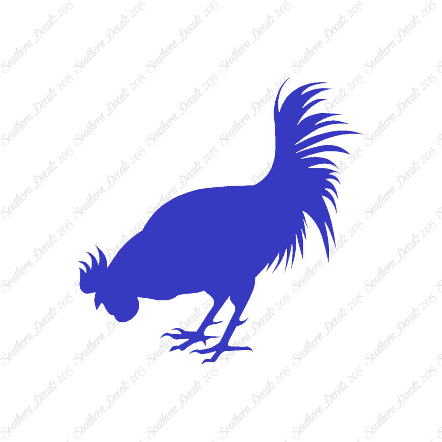 Chicken Rooster Poultry