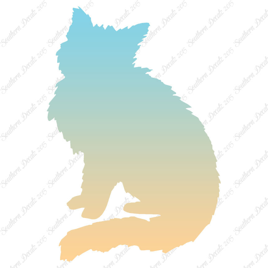 Fluffy Kitten Cat